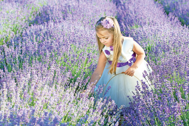 Обавезно посадите лаванду 